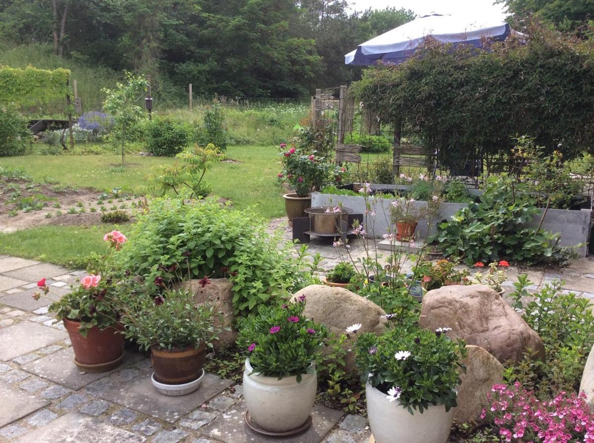 Bergliot Bed&Breakfast Hundested Exterior foto